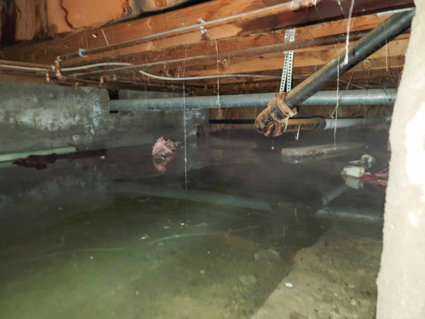 Best 24/7 water damage repair  in USA